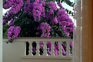 Appartamento per quattro persone