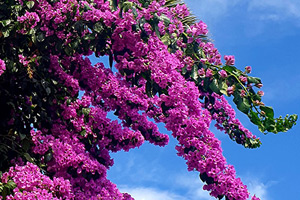 Appartamento per quattro persone